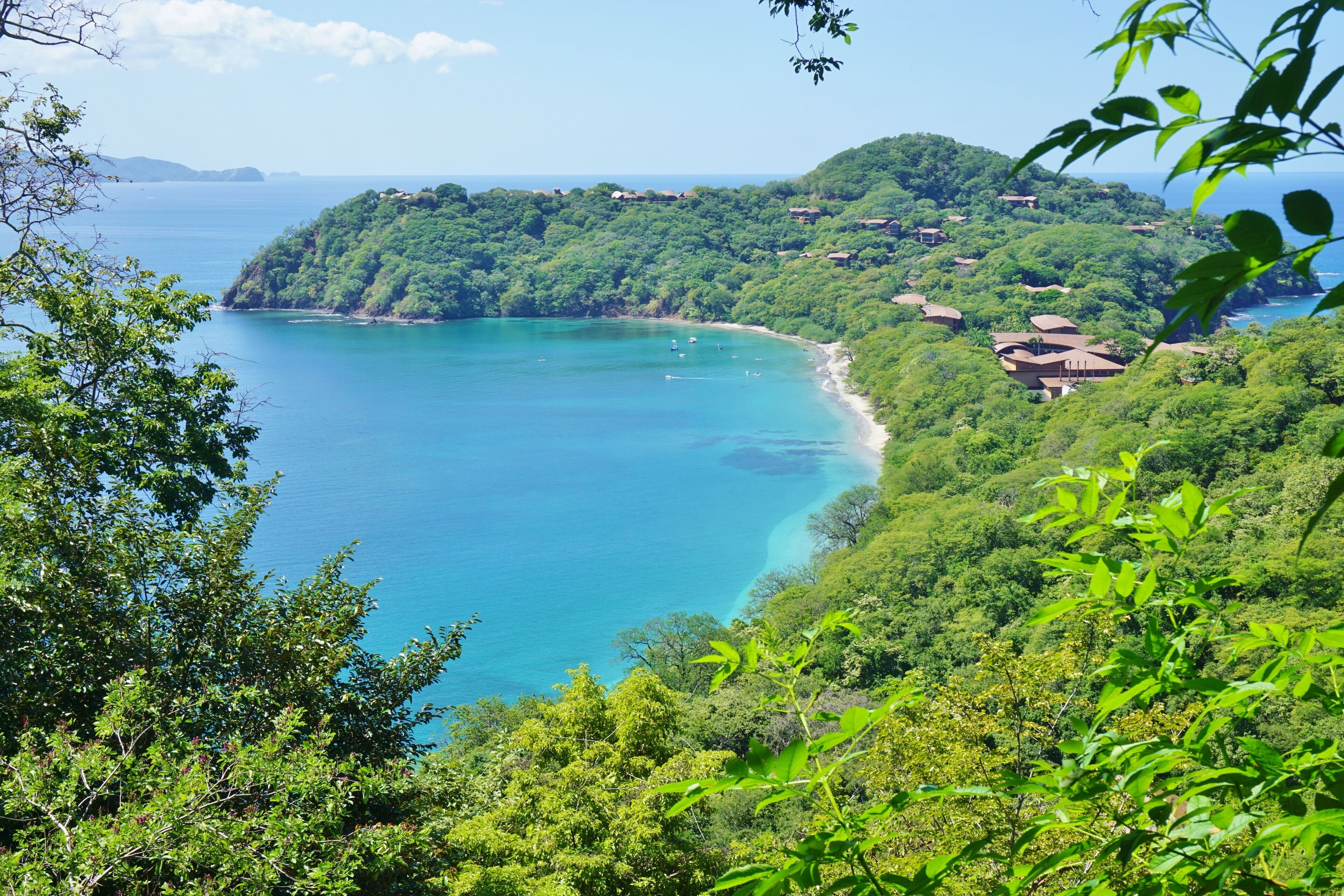 Papagayo
