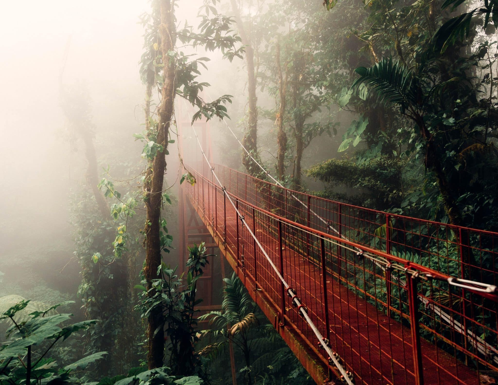 Monteverde