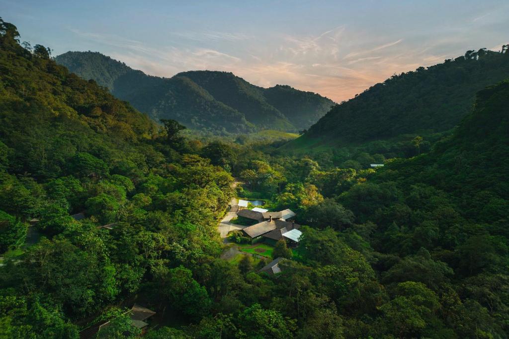 El Silencio Lodge & Spa - Image 18