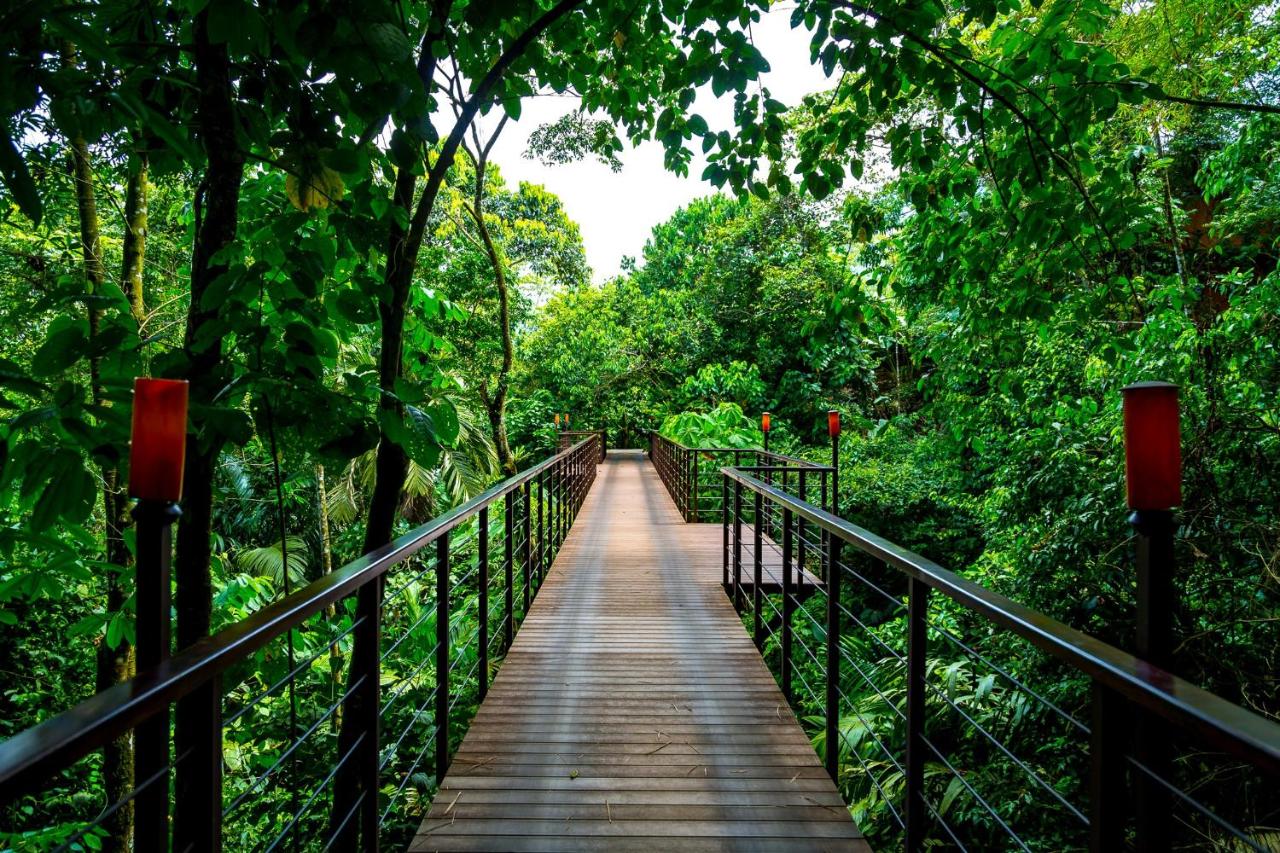 Nayara Gardens - Image 6