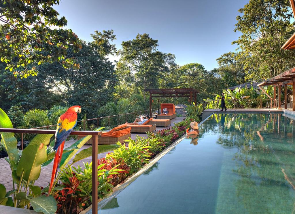 Nayara Springs - Adults Only - Image 3